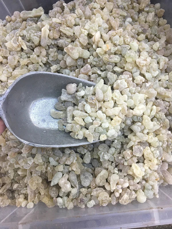 Premium Omani Hojari Frankincense Resin (Boswellia Sacra) – 100g
