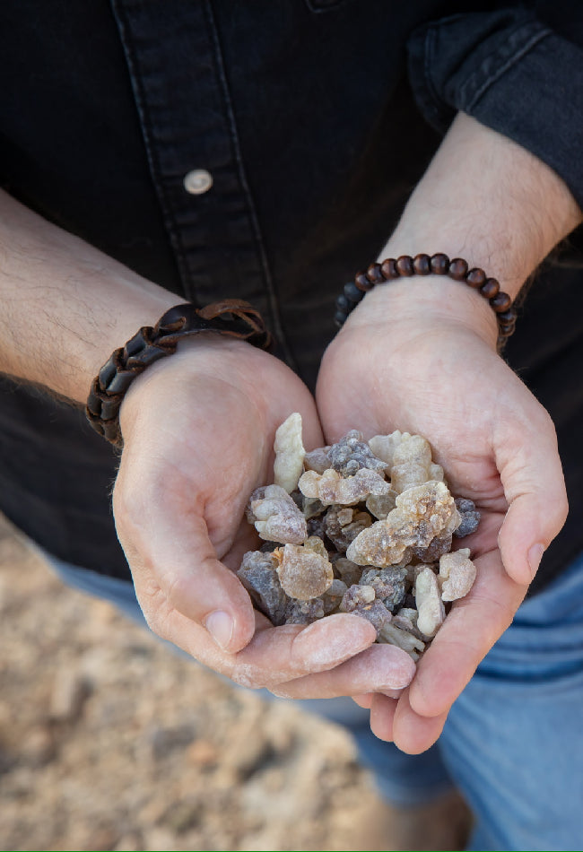 Premium Omani Hojari Frankincense Resin (Boswellia sacra) 1KG